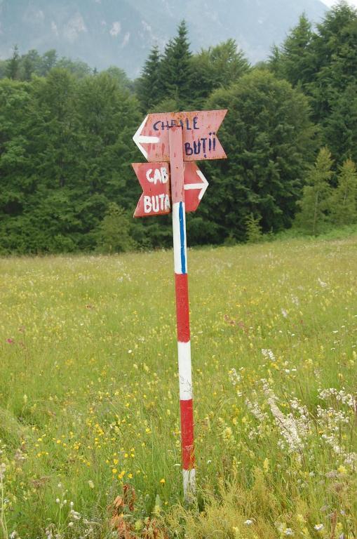 Hotel Complexul Turistic Cheile Butii Cîmpu lui Neag Exterior foto